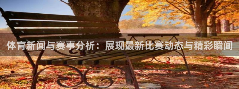 体育新闻与赛事分析：展现最新比赛动态与精彩瞬间