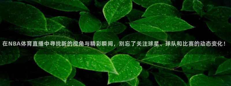 在NBA体育直播中寻找新的视角与精彩瞬间，别忘了关注球星、球队和比赛的动态变化！