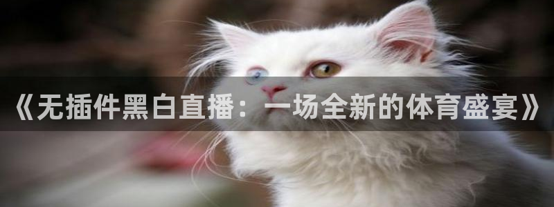 《无插件黑白直播：一场全新的体育盛宴》