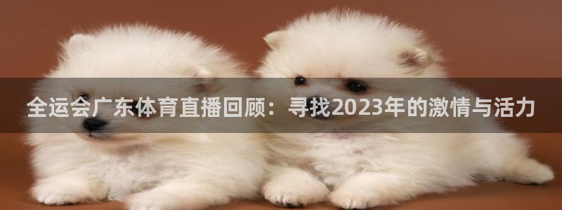 全运会广东体育直播回顾：寻找2023年的激情与活力