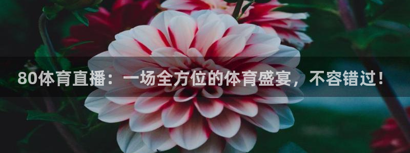 80体育直播：一场全方位的体育盛宴，不容错过！