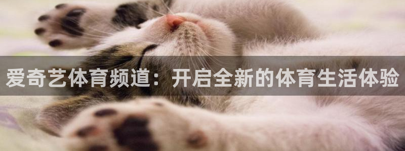 爱奇艺体育频道：开启全新的体育生活体验