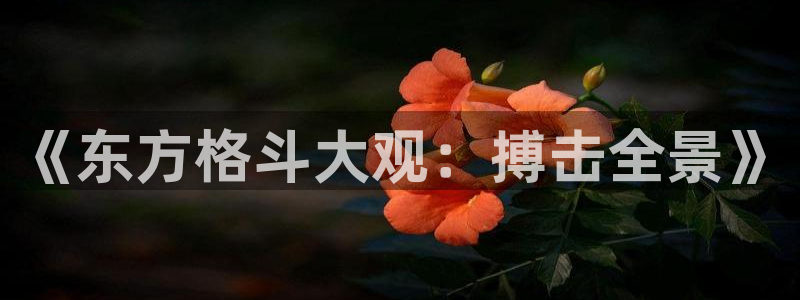 《东方格斗大观：搏击全景》