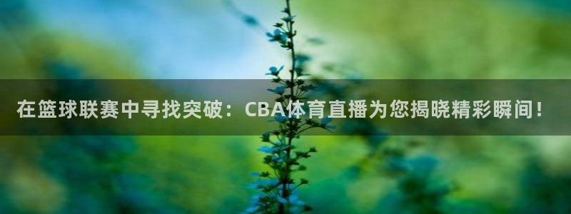 在篮球联赛中寻找突破：CBA体育直播为您揭晓精彩瞬间！