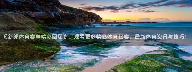 《新郎体育赛事精彩回顾》：观看更多精彩体育比赛，最新体育资讯与技巧！