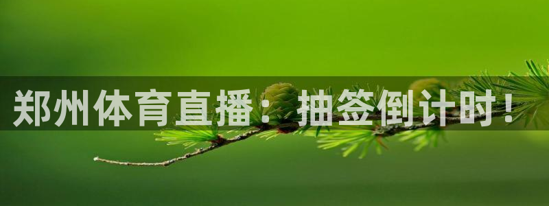 郑州体育直播：抽签倒计时！