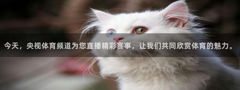 今天，央视体育频道为您直播精彩赛事，让我们共同欣赏体育的魅力。