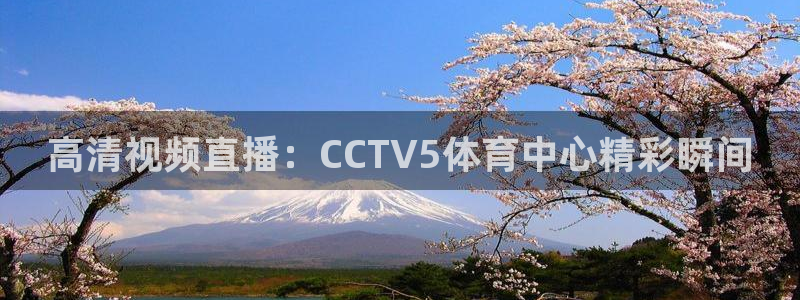 高清视频直播：CCTV5体育中心精彩瞬间