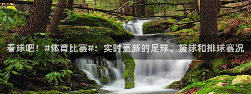 看球吧！#体育比赛#：实时更新的足球、篮球和排球赛况