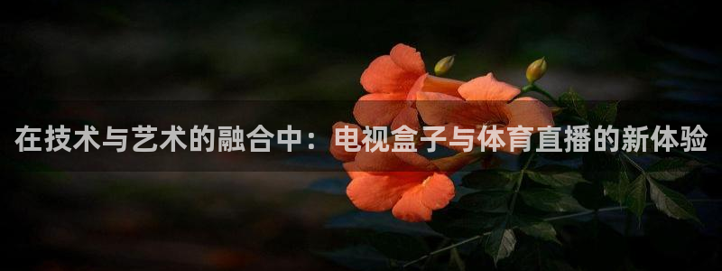 在技术与艺术的融合中：电视盒子与体育直播的新体验