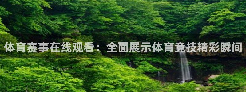 体育赛事在线观看：全面展示体育竞技精彩瞬间