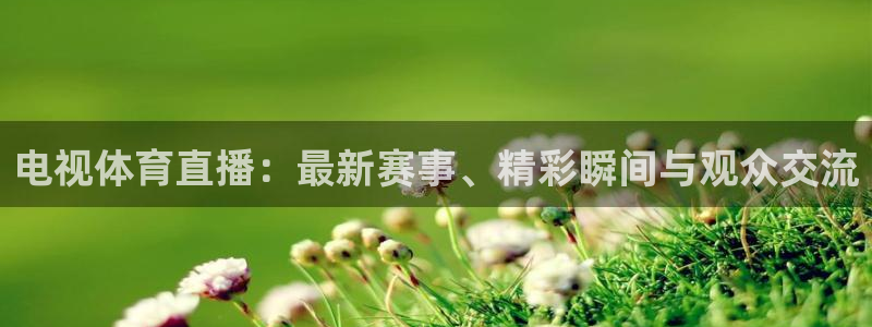 电视体育直播：最新赛事、精彩瞬间与观众交流