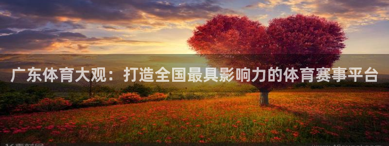 广东体育大观：打造全国最具影响力的体育赛事平台