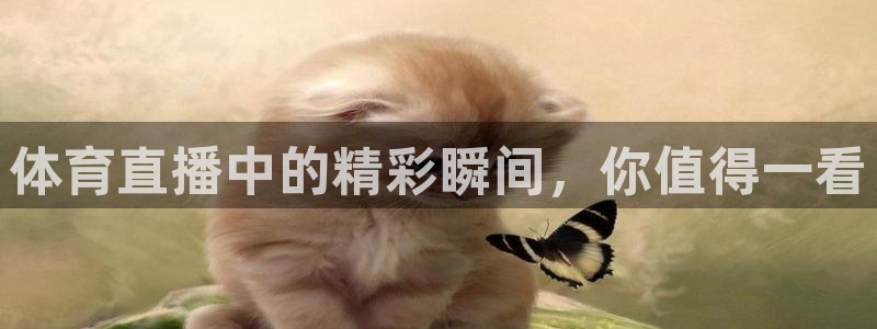 体育直播中的精彩瞬间，你值得一看
