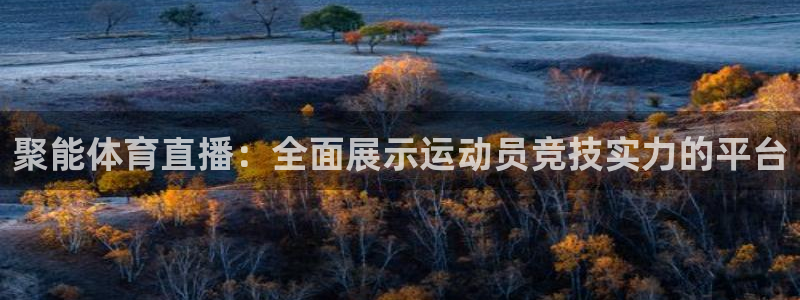 聚能体育直播：全面展示运动员竞技实力的平台
