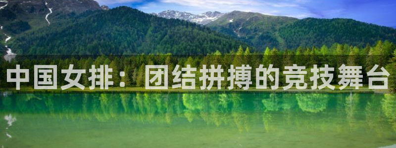 中国女排：团结拼搏的竞技舞台