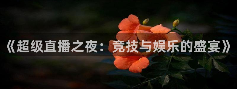 《超级直播之夜：竞技与娱乐的盛宴》