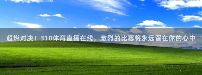 超燃对决！310体育直播在线，激烈的比赛将永远留在你的心中