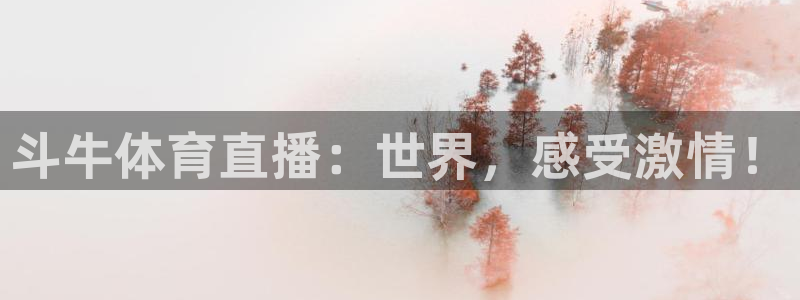 斗牛体育直播：世界，感受激情！