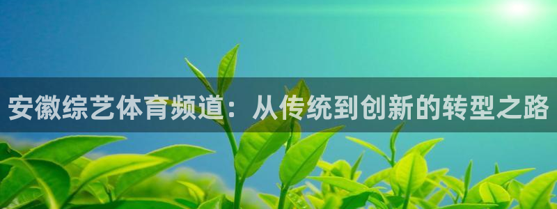 安徽综艺体育频道：从传统到创新的转型之路