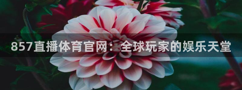 857直播体育官网：全球玩家的娱乐天堂