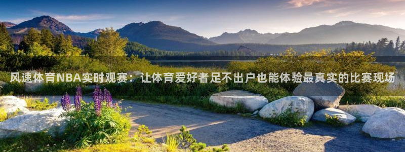 风速体育NBA实时观赛：让体育爱好者足不出户也能体验最真实的比赛现场