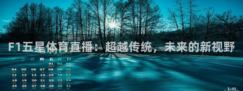 F1五星体育直播：超越传统，未来的新视野
