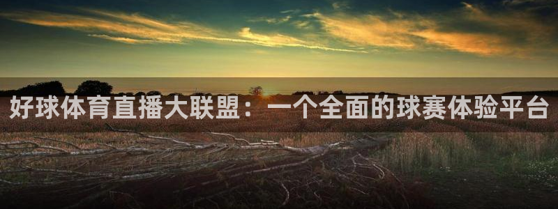 好球体育直播大联盟：一个全面的球赛体验平台
