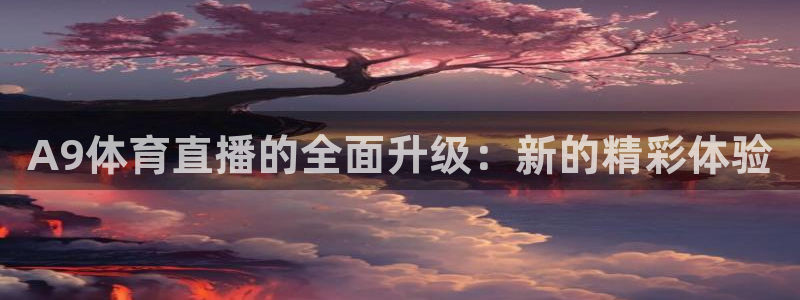 A9体育直播的全面升级：新的精彩体验