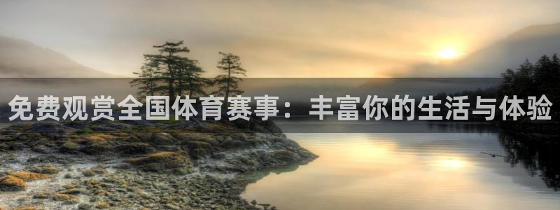 免费观赏全国体育赛事：丰富你的生活与体验
