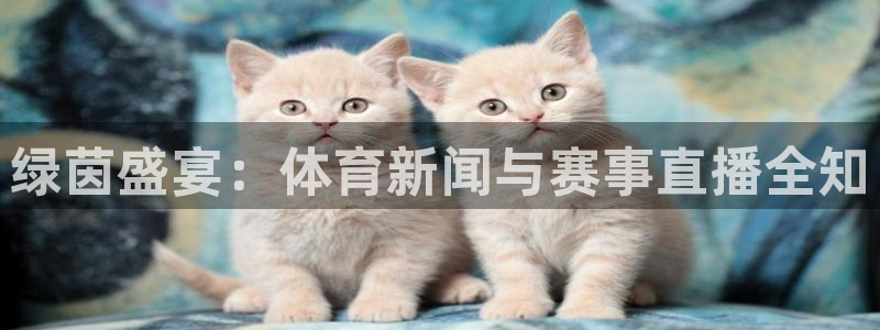 绿茵盛宴：体育新闻与赛事直播全知