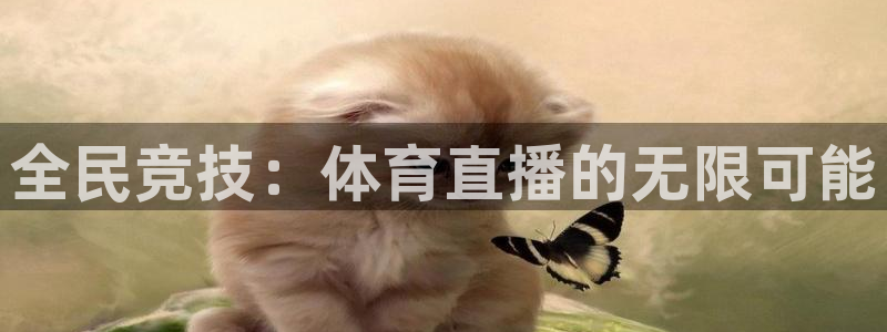 全民竞技：体育直播的无限可能