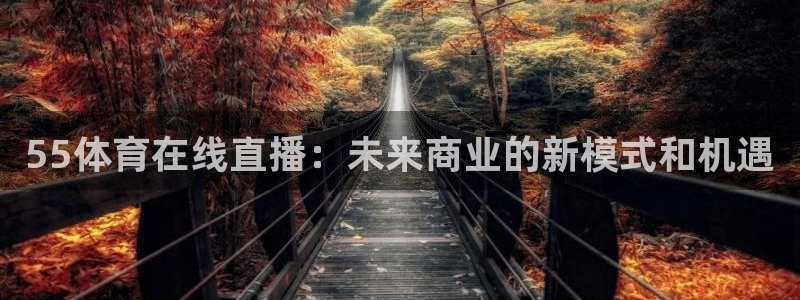 55体育在线直播：未来商业的新模式和机遇