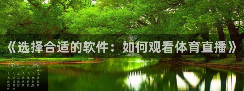 《选择合适的软件：如何观看体育直播》