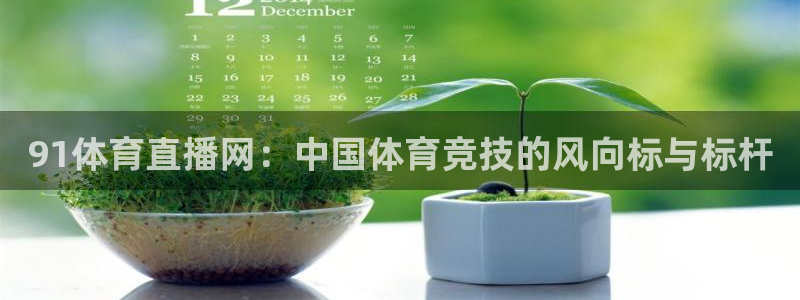 91体育直播网：中国体育竞技的风向标与标杆