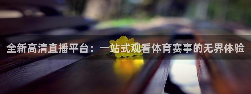 全新高清直播平台：一站式观看体育赛事的无界体验