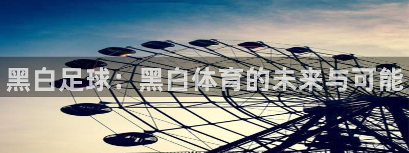 黑白足球：黑白体育的未来与可能