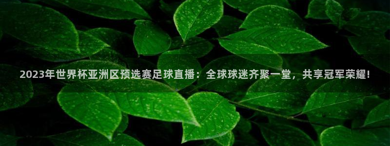 2023年世界杯亚洲区预选赛足球直播：全球球迷齐聚一堂，共享冠军荣耀!