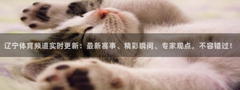 辽宁体育频道实时更新：最新赛事、精彩瞬间、专家观点，不容错过！