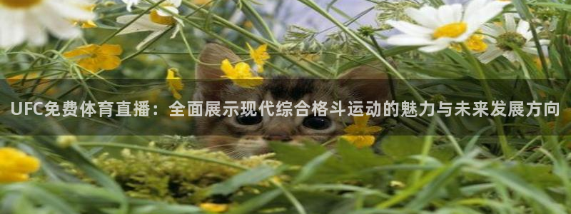 UFC免费体育直播：全面展示现代综合格斗运动的魅力与未来发展方向