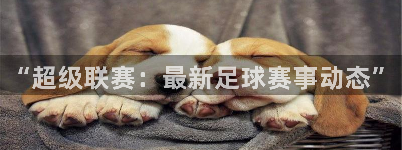 “超级联赛：最新足球赛事动态”