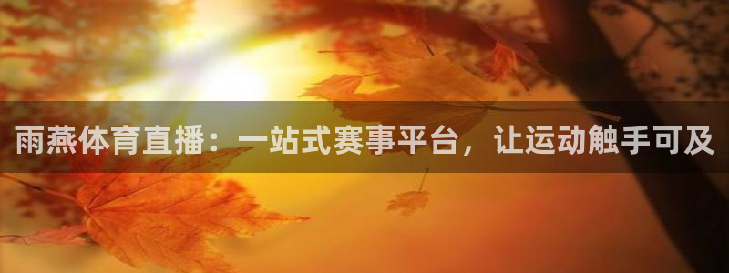 雨燕体育直播：一站式赛事平台，让运动触手可及