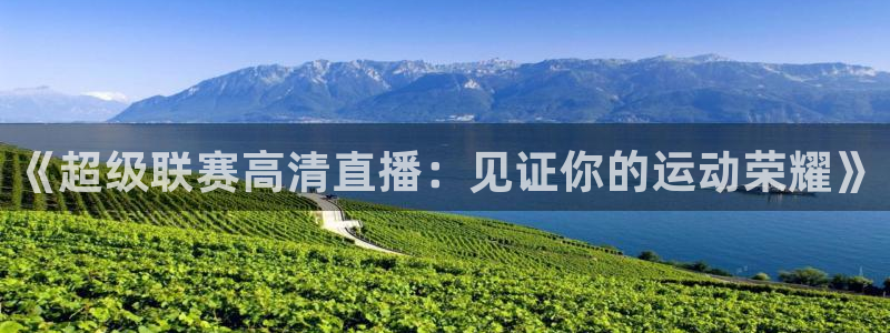 《超级联赛高清直播：见证你的运动荣耀》