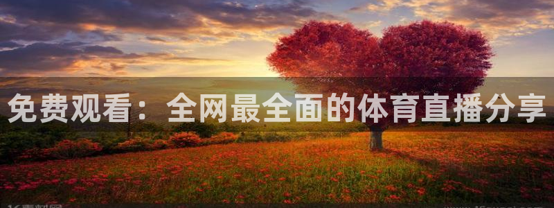 免费观看：全网最全面的体育直播分享