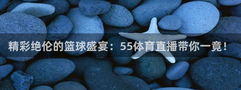 精彩绝伦的篮球盛宴：55体育直播带你一竟！