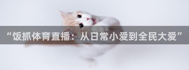 “饭抓体育直播：从日常小爱到全民大爱”