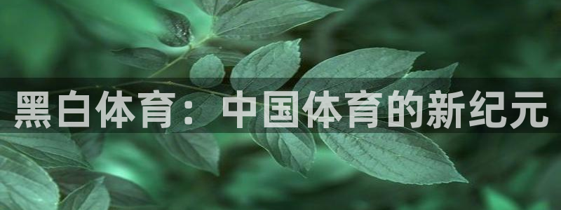 黑白体育：中国体育的新纪元