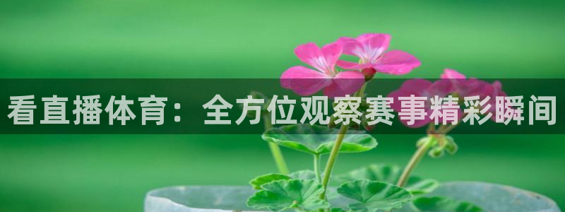 看直播体育：全方位观察赛事精彩瞬间