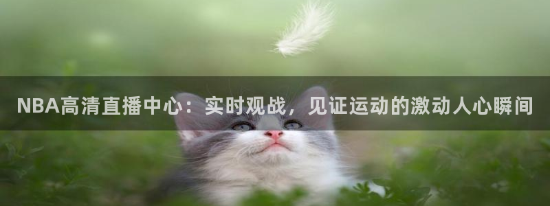 NBA高清直播中心：实时观战，见证运动的激动人心瞬间