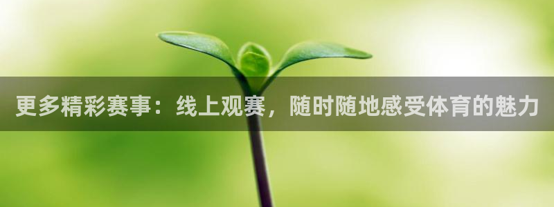 更多精彩赛事：线上观赛，随时随地感受体育的魅力